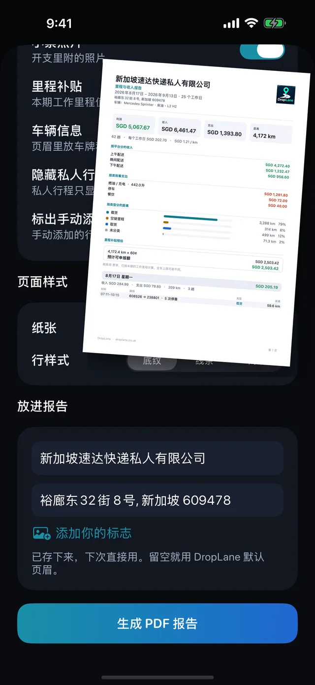PDF 报告 — 按会计想要的方式生成。
